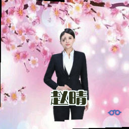 赵晴